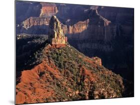 USA, Arizona, Grand Canyon National Park, North Rim-John Barger-Mounted Photographic Print