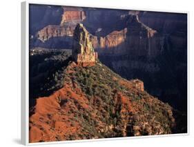 USA, Arizona, Grand Canyon National Park, North Rim-John Barger-Framed Photographic Print