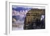 USA, Arizona, Grand Canyon National Park, North Rim-Ann Collins-Framed Photographic Print