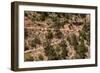 USA, Arizona, Grand canyon National Park, South Rim, Bright Angel Trail, mule, luggage transport-Udo Siebig-Framed Photographic Print