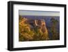 USA, Arizona, Grand Canyon National Park South Rim-Peter Hawkins-Framed Photographic Print