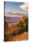 USA, Arizona, Grand Canyon National Park South Rim-Peter Hawkins-Stretched Canvas