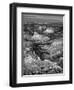 USA, Arizona, Grand Canyon National Park, Sunrise View of Colorado River from Mojave Point-Ann Collins-Framed Photographic Print