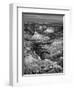 USA, Arizona, Grand Canyon National Park, Sunrise View of Colorado River from Mojave Point-Ann Collins-Framed Photographic Print