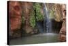 USA, Arizona, Grand Canyon National Park. View of Elves Chasm-Don Grall-Stretched Canvas