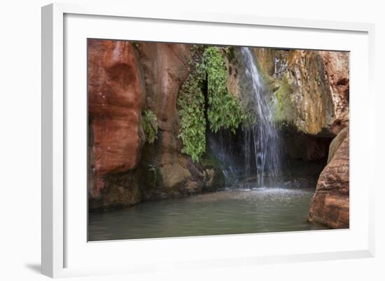 USA, Arizona, Grand Canyon National Park. View of Elves Chasm-Don Grall-Framed Photographic Print