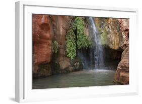 USA, Arizona, Grand Canyon National Park. View of Elves Chasm-Don Grall-Framed Photographic Print