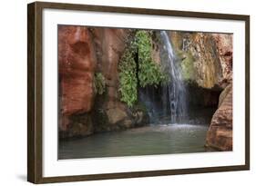 USA, Arizona, Grand Canyon National Park. View of Elves Chasm-Don Grall-Framed Photographic Print