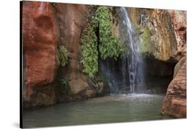 USA, Arizona, Grand Canyon National Park. View of Elves Chasm-Don Grall-Stretched Canvas