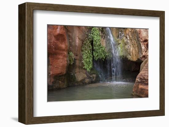 USA, Arizona, Grand Canyon National Park. View of Elves Chasm-Don Grall-Framed Photographic Print