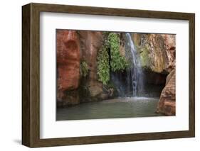 USA, Arizona, Grand Canyon National Park. View of Elves Chasm-Don Grall-Framed Photographic Print