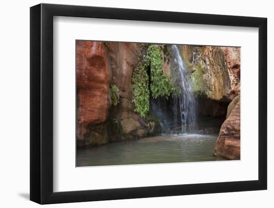 USA, Arizona, Grand Canyon National Park. View of Elves Chasm-Don Grall-Framed Photographic Print