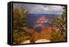 USA, Arizona, Grand Canyon National Park-Peter Hawkins-Framed Stretched Canvas