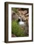 USA, Arizona, Grand Canyon NP. View of Deer Creek waterfall and pool-Don Grall-Framed Photographic Print