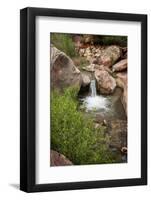 USA, Arizona, Grand Canyon NP. View of Deer Creek waterfall and pool-Don Grall-Framed Photographic Print