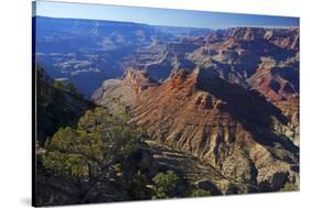 USA, Arizona, Grand Canyon Vista-Kymri Wilt-Stretched Canvas