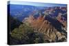 USA, Arizona, Grand Canyon Vista-Kymri Wilt-Stretched Canvas