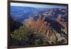 USA, Arizona, Grand Canyon Vista-Kymri Wilt-Framed Premium Photographic Print