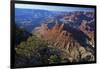 USA, Arizona, Grand Canyon Vista-Kymri Wilt-Framed Premium Photographic Print