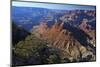 USA, Arizona, Grand Canyon Vista-Kymri Wilt-Mounted Photographic Print