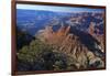 USA, Arizona, Grand Canyon Vista-Kymri Wilt-Framed Photographic Print