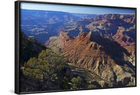 USA, Arizona, Grand Canyon Vista-Kymri Wilt-Framed Photographic Print