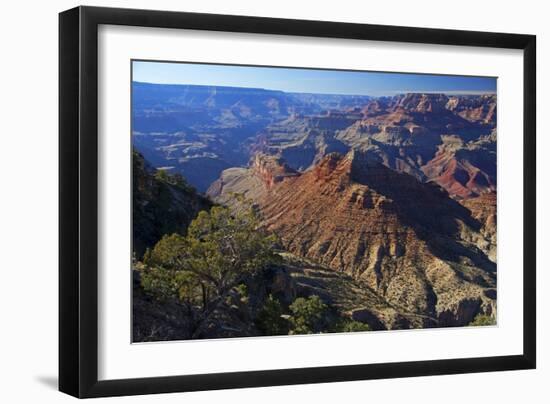 USA, Arizona, Grand Canyon Vista-Kymri Wilt-Framed Photographic Print