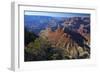 USA, Arizona, Grand Canyon Vista-Kymri Wilt-Framed Photographic Print