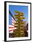 USA, Arizona, Historical Route 66, Seligman, Signpost-Catharina Lux-Framed Photographic Print