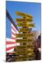 USA, Arizona, Historical Route 66, Seligman, Signpost-Catharina Lux-Mounted Photographic Print