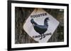 USA, Arizona, Jerome, rooster crossing sign, Gold King Mine-Kevin Oke-Framed Premium Photographic Print