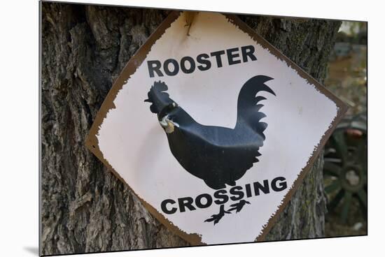 USA, Arizona, Jerome, rooster crossing sign, Gold King Mine-Kevin Oke-Mounted Premium Photographic Print