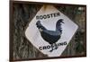 USA, Arizona, Jerome, rooster crossing sign, Gold King Mine-Kevin Oke-Framed Photographic Print