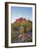 USA, Arizona, Lost Dutchman State Park. Barrel Cactus and Superstition Mountains-Kevin Oke-Framed Photographic Print