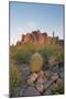 USA, Arizona, Lost Dutchman State Park. Barrel Cactus and Superstition Mountains-Kevin Oke-Mounted Photographic Print