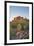 USA, Arizona, Lost Dutchman State Park. Barrel Cactus and Superstition Mountains-Kevin Oke-Framed Premium Photographic Print