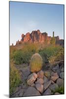 USA, Arizona, Lost Dutchman State Park. Barrel Cactus and Superstition Mountains-Kevin Oke-Mounted Premium Photographic Print