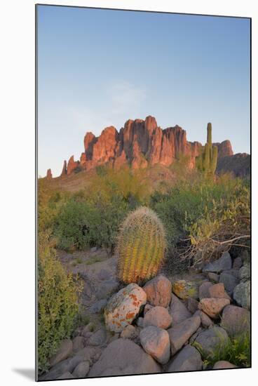 USA, Arizona, Lost Dutchman State Park. Barrel Cactus and Superstition Mountains-Kevin Oke-Mounted Premium Photographic Print