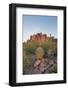 USA, Arizona, Lost Dutchman State Park. Barrel Cactus and Superstition Mountains-Kevin Oke-Framed Photographic Print