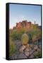 USA, Arizona, Lost Dutchman State Park. Barrel Cactus and Superstition Mountains-Kevin Oke-Framed Stretched Canvas