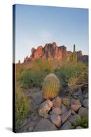 USA, Arizona, Lost Dutchman State Park. Barrel Cactus and Superstition Mountains-Kevin Oke-Stretched Canvas