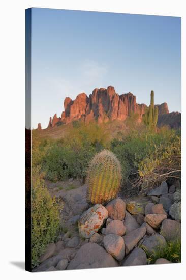 USA, Arizona, Lost Dutchman State Park. Barrel Cactus and Superstition Mountains-Kevin Oke-Stretched Canvas