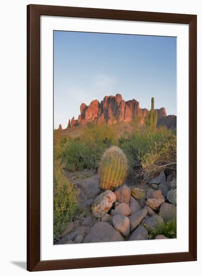 USA, Arizona, Lost Dutchman State Park. Barrel Cactus and Superstition Mountains-Kevin Oke-Framed Photographic Print