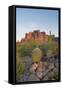 USA, Arizona, Lost Dutchman State Park. Barrel Cactus and Superstition Mountains-Kevin Oke-Framed Stretched Canvas