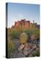 USA, Arizona, Lost Dutchman State Park. Barrel Cactus and Superstition Mountains-Kevin Oke-Stretched Canvas