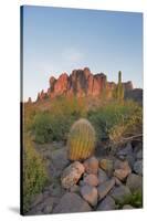 USA, Arizona, Lost Dutchman State Park. Barrel Cactus and Superstition Mountains-Kevin Oke-Stretched Canvas