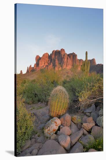 USA, Arizona, Lost Dutchman State Park. Barrel Cactus and Superstition Mountains-Kevin Oke-Stretched Canvas