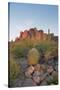 USA, Arizona, Lost Dutchman State Park. Barrel Cactus and Superstition Mountains-Kevin Oke-Stretched Canvas