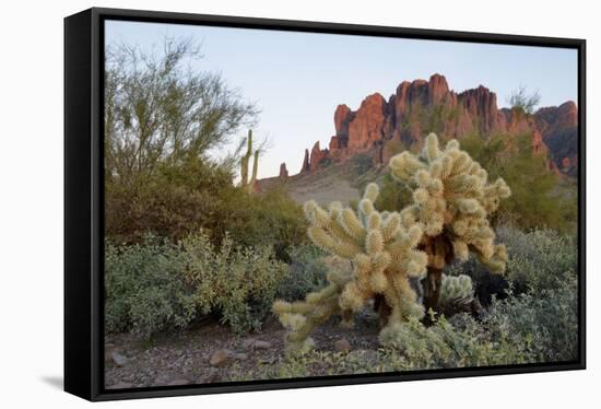 USA, Arizona. Lost Dutchman State Park, Cholla cactus and Superstition Mountains-Kevin Oke-Framed Stretched Canvas