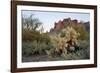 USA, Arizona. Lost Dutchman State Park, Cholla cactus and Superstition Mountains-Kevin Oke-Framed Photographic Print